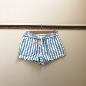 Aerie Blue and White Striped Shorts